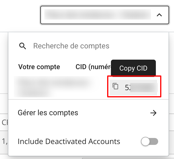 Access path to find advertiser ID